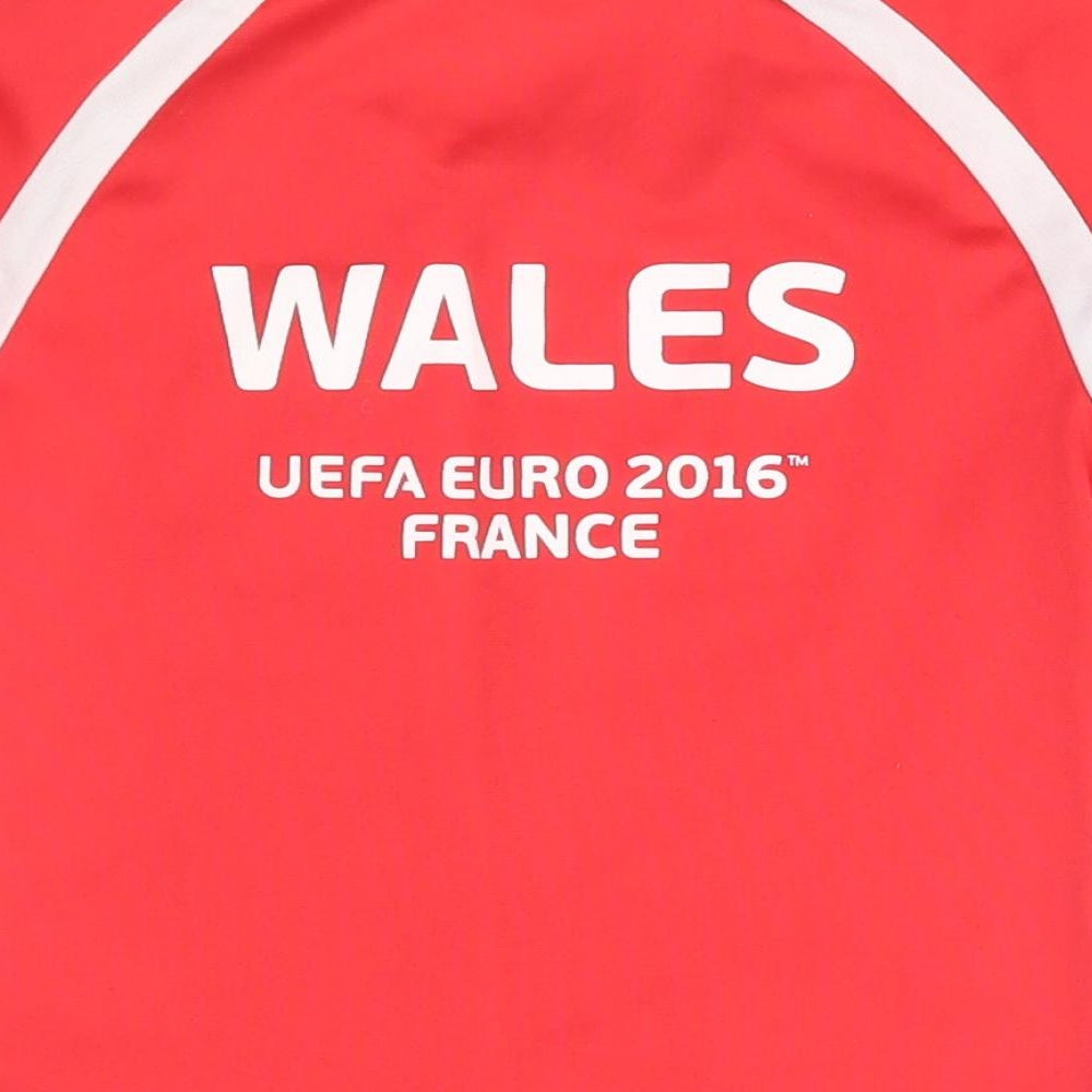 Euro 2016 Boys Red   Basic T-Shirt Size 3-4 Years  - wales