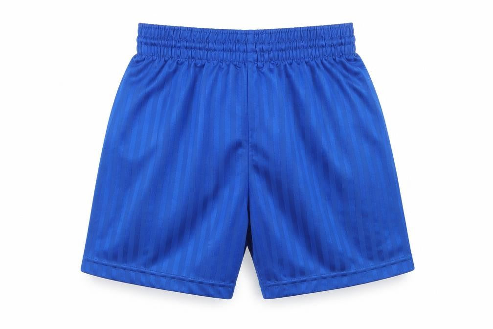 PRO STAR Boys Blue Striped  Sweat Shorts Size XS