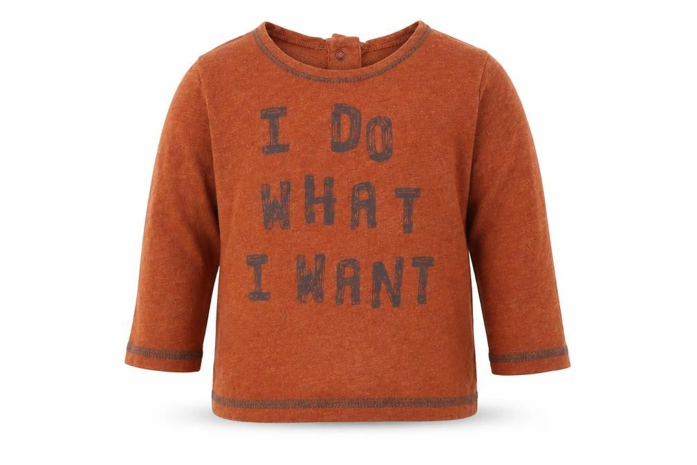 NEXT Baby Brown   Basic T-Shirt Size 6-9 Months