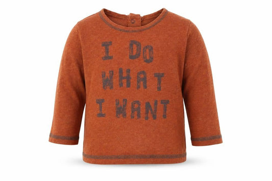 Next Baby Brown   Basic T-Shirt Size 6-9 Months