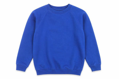 westex Boys Blue   Pullover Sweatshirt Size 12-13 Years  - school