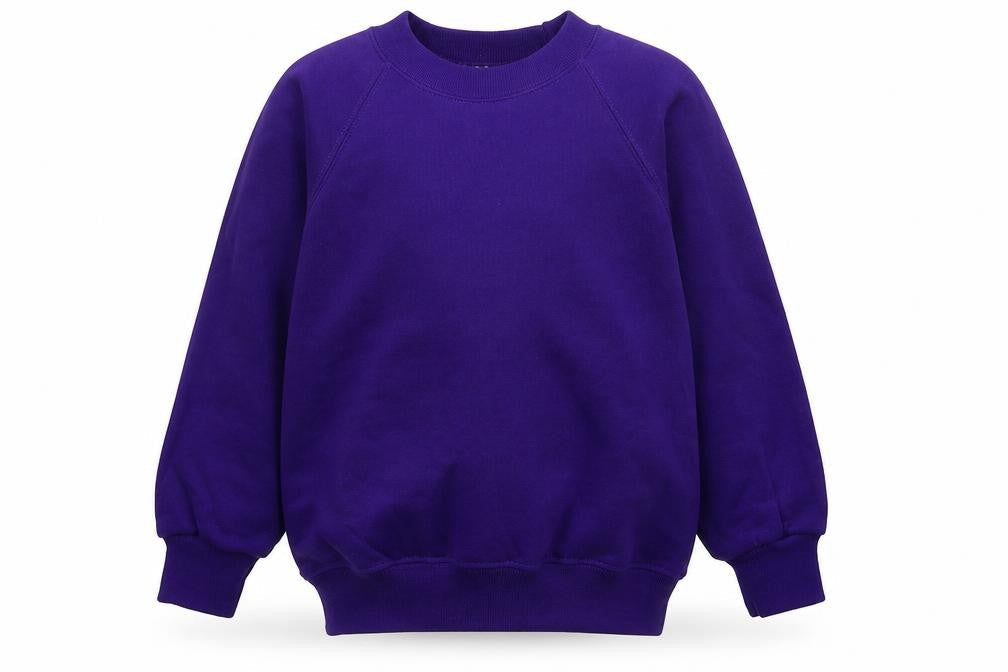 Preworn Boys Purple   Pullover Sweatshirt Size S