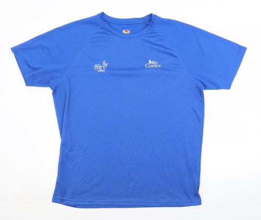 Preworn Mens Blue   Jersey Casual Size L  - CONWY