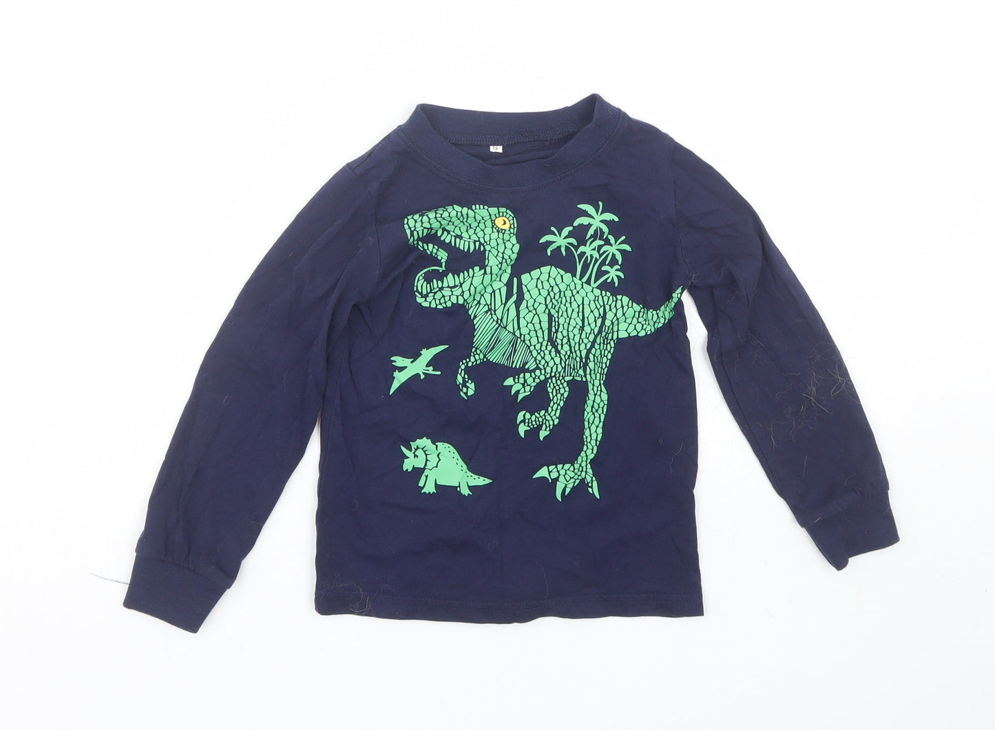 Preworn Boys Blue   Basic T-Shirt Size 5 Years  - dinosaurs