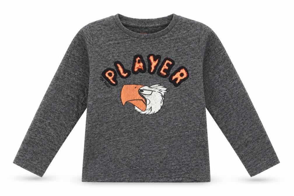 TOM TAILOR Boys Grey Animal Print Cotton Basic Casual Size 2-3 Years Roll Neck Pullover - Player Eagle Head