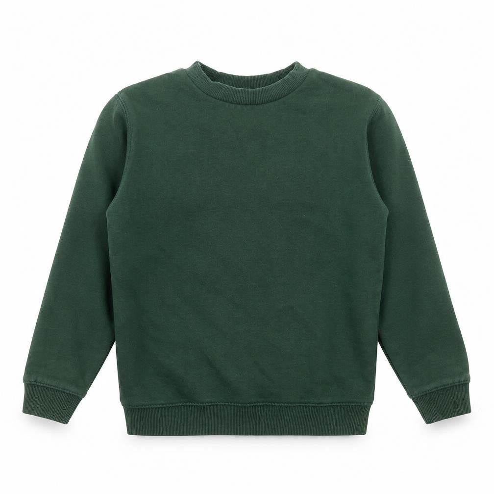 TU Boys Green  Cotton Pullover Sweatshirt Size 4 Years   - school