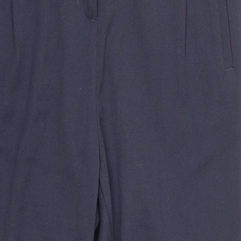 Preworn Womens Blue  Polyester Trousers  Size 10 L24 in Regular Hook & Eye