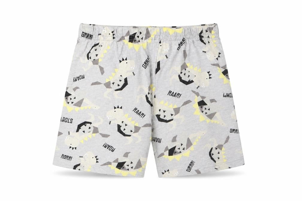 Preworn Boys Grey Geometric Cotton  Robe & Gown Set Size 2 Years   - Dinosaur Print