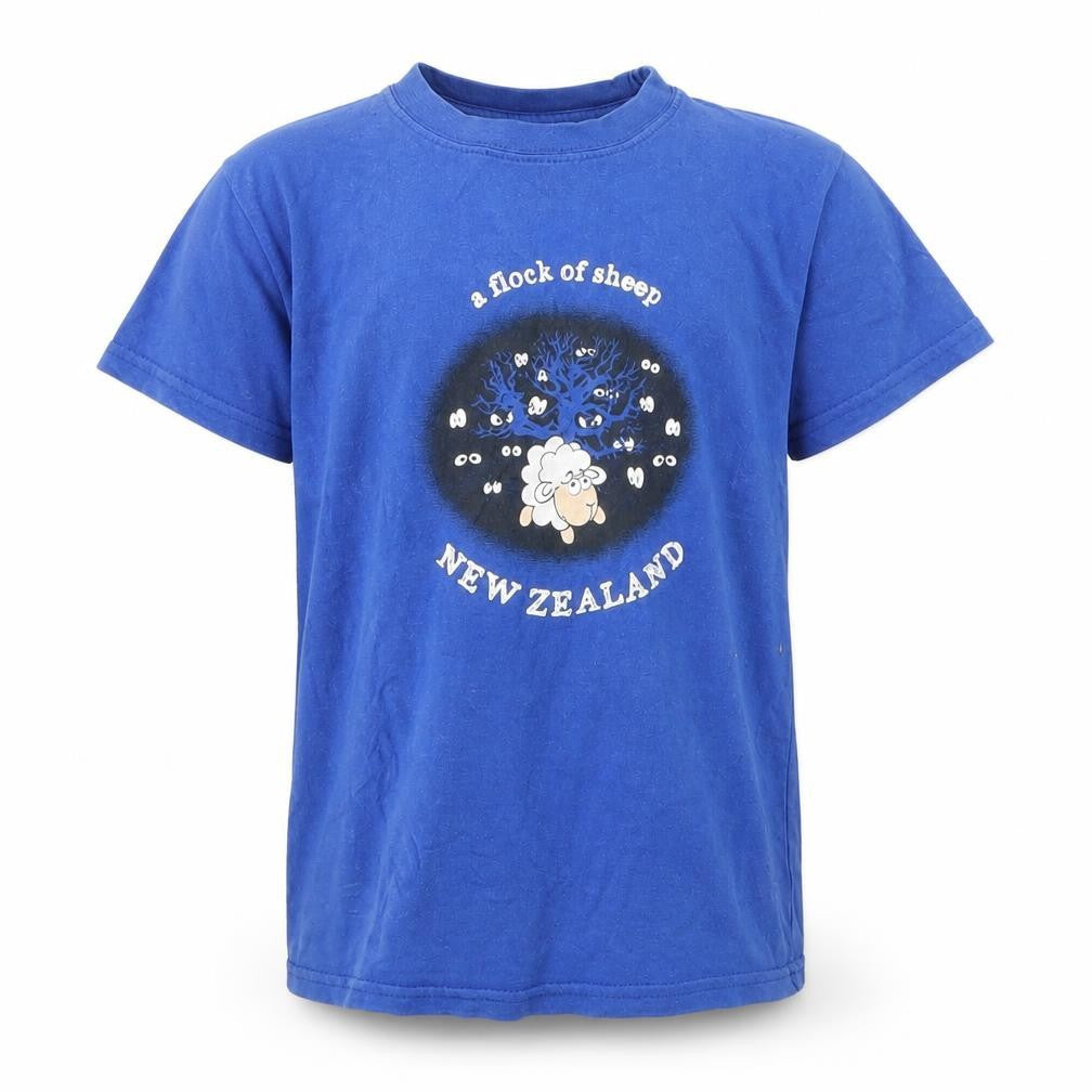 Preworn Boys Blue  Cotton Basic T-Shirt Size 4 Years Round Neck