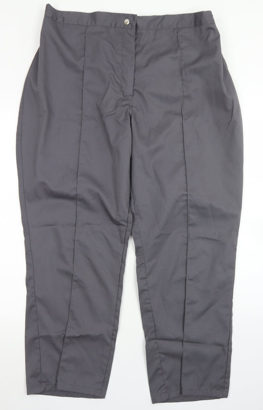 Alexandra Womens Grey  Polyester Dress Pants Trousers Size 22 L27 in Regular