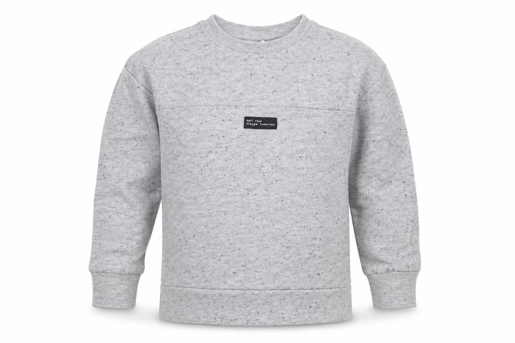 George Boys Grey  Polyester Pullover Sweatshirt Size 3-4 Years