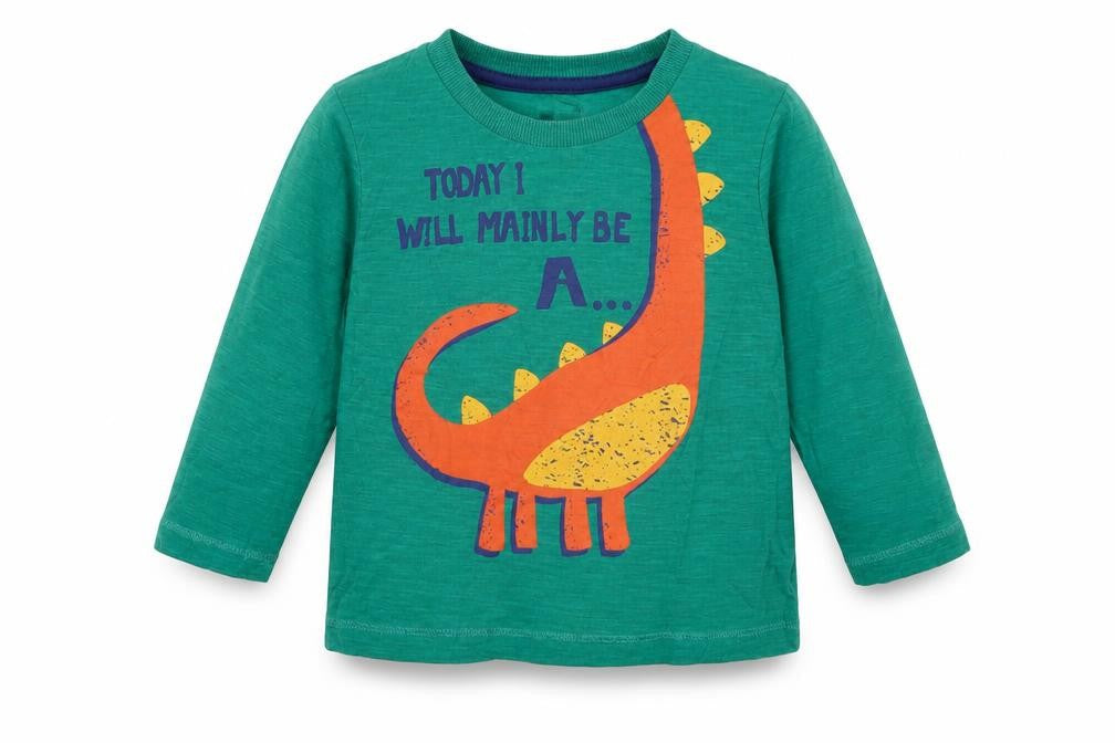 Matalan Boys Green  Cotton Basic Casual Size 9-12 Months Crew Neck Pullover - today i will be a dinosaur