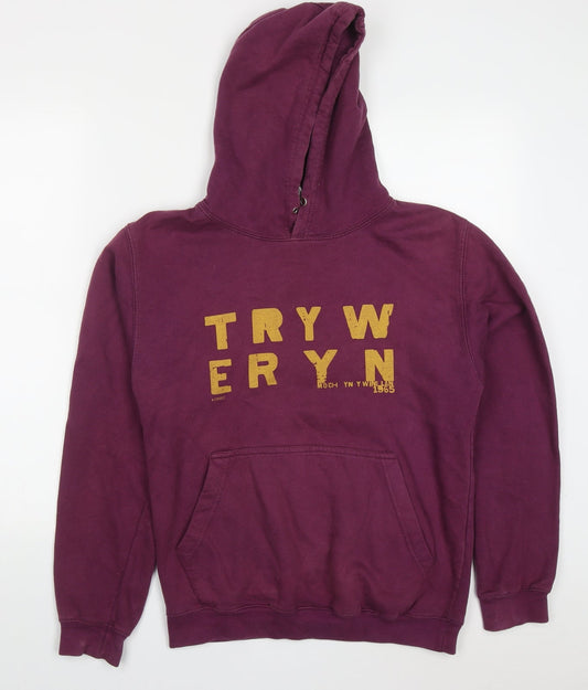 All We Do is Mens Purple  Cotton Pullover Hoodie Size S   - Tryweryn