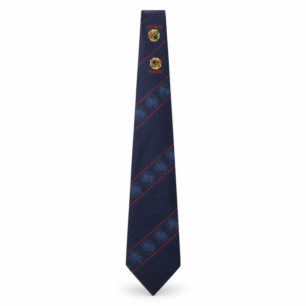 Concept Mens Multicoloured Striped Polyester Pointed Tie One Size