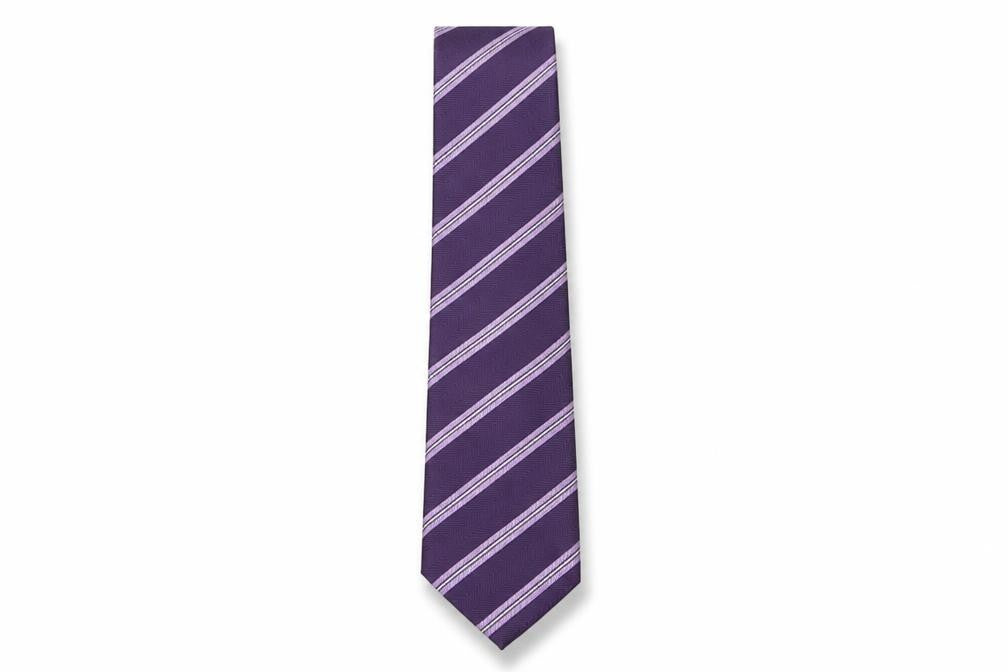 Greenwoods Mens Purple Striped Polyester Pointed Tie One Size