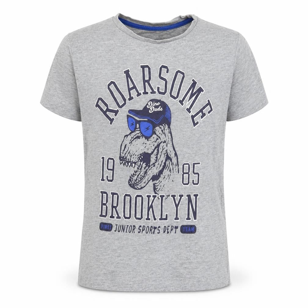 Dunnes Stores Boys Grey  Cotton Basic T-Shirt Size 8 Years Round Neck Pullover - Roarsome, Dinosaur