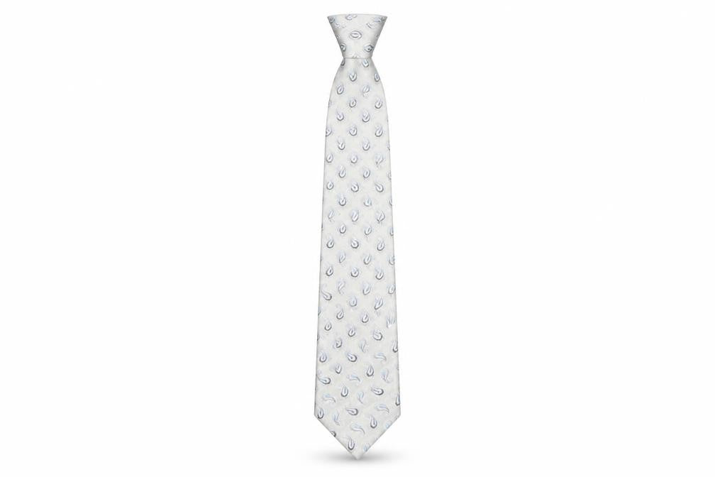 Christensen Mens Silver Paisley Silk Pointed Tie One Size