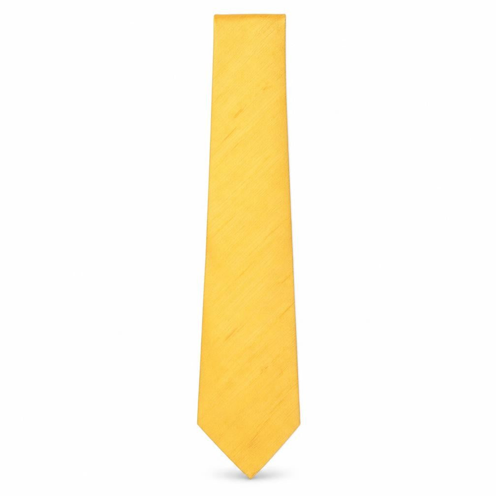 Daniel Lazaro Figuerdo Mens Gold Striped Silk Pointed Tie One Size