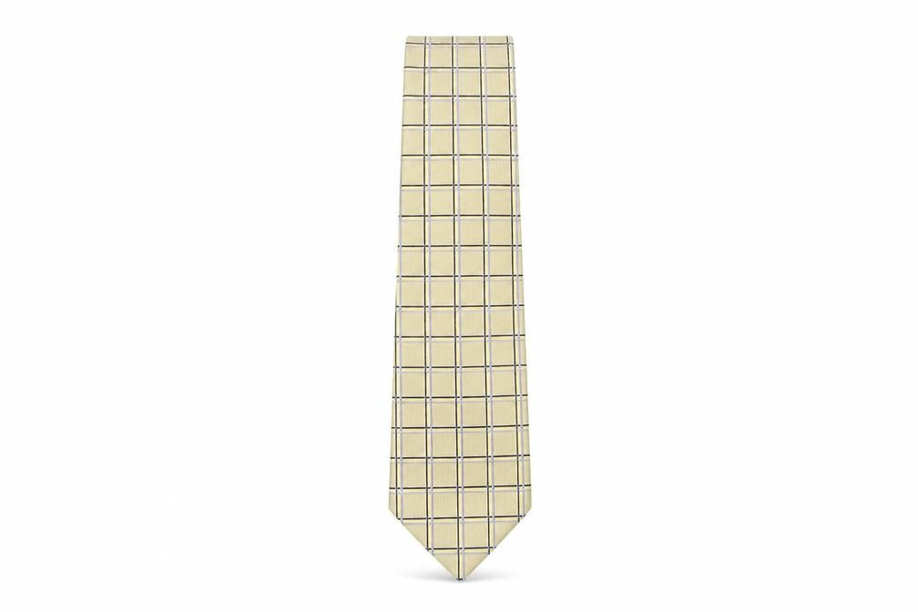 Cezan Mens Multicoloured Plaids & Checks Silk Pointed Tie One Size