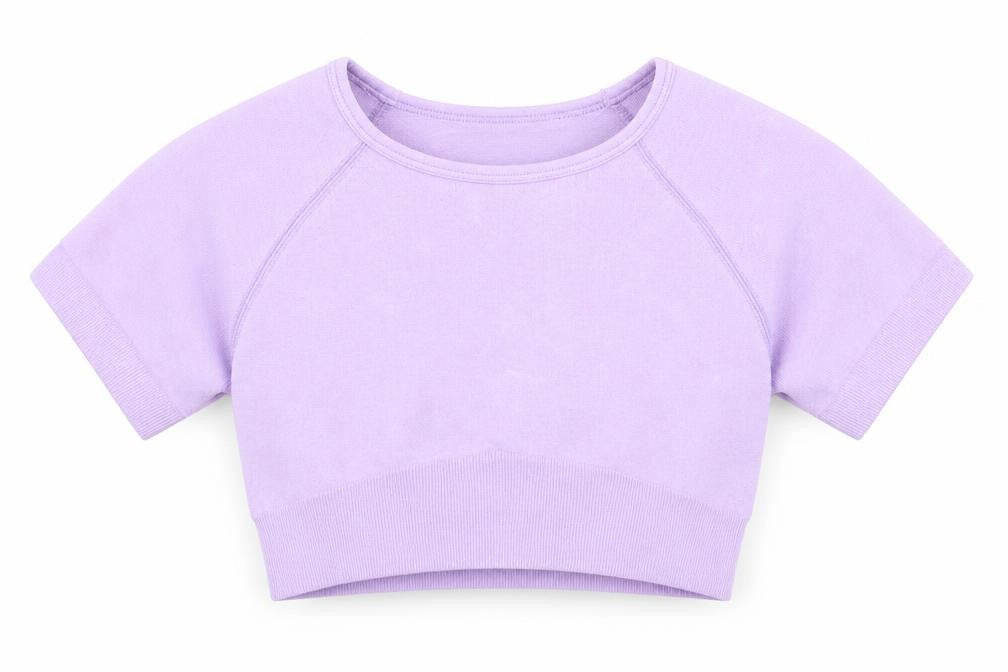 Womens Purple  Nylon Cropped T-Shirt Size XS Round Neck