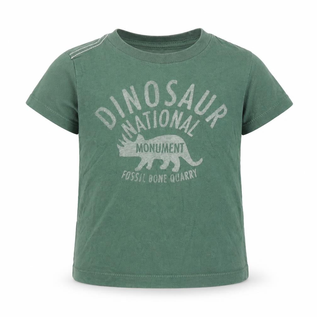 Little Peanut Boys Green  Cotton Basic T-Shirt Size 6-9 Months Round Neck Pullover - Dinosaur