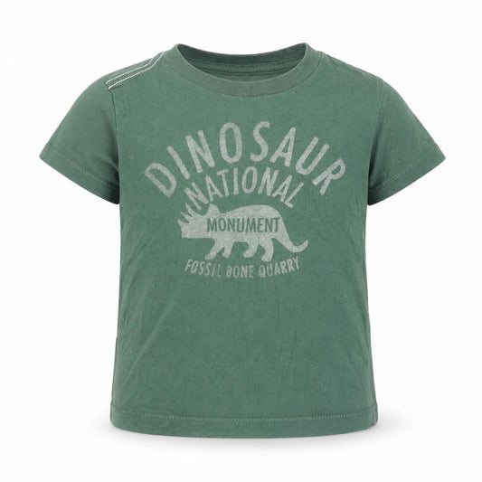 Little Peanut Boys Green  Cotton Basic T-Shirt Size 6-9 Months Round Neck Pullover - Dinosaur