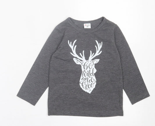 Pat Pat Boys Grey  Polyester Basic Casual Size 2 Years Crew Neck Pullover - Be wild and Free