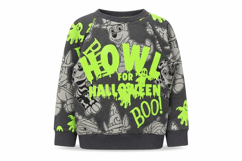 Preworn Boys Multicoloured  Polyester Pullover Sweatshirt Size 2-3 Years   - Paw Patrol
