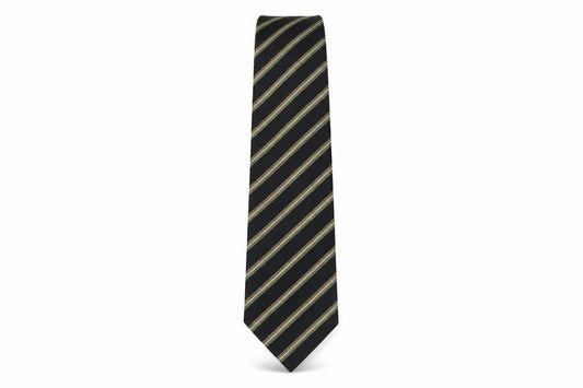 Paul Costelloe Mens Multicoloured Striped Silk Pointed Tie One Size