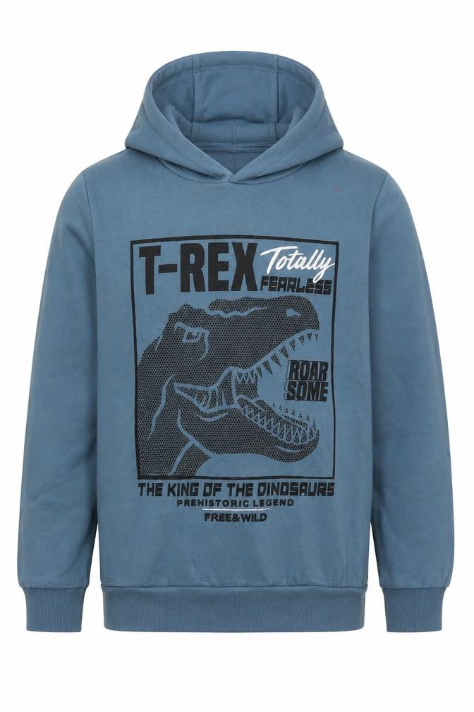 Dunnes Boys Blue  Cotton Pullover Hoodie Size L  Pullover - T-Rex