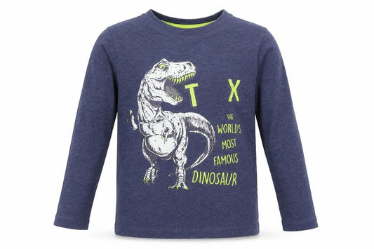 Dunnes Boys Blue Cotton Basic T-Shirt Size 5 Years Round Neck - T Rex Dinasour Graphic