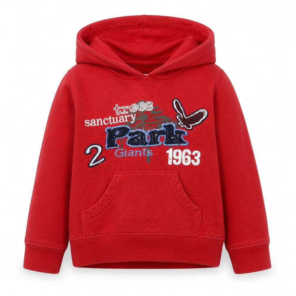 Dunnes Stores Boys Red Cotton Pullover Hoodie Size 2-3 Years Pullover - Trees Sanctuary Park
