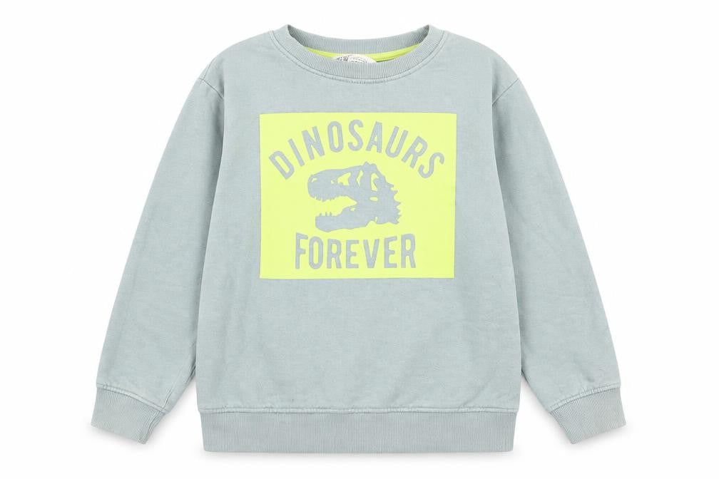 H&M Boys Grey Cotton Pullover Sweatshirt Size 9-10 Years Pullover - Dinosaurs Forever