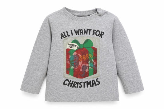 F&F Baby Grey Cotton Basic T-Shirt Size 12-18 Months Round Neck Pullover - Christmas Dinosaur
