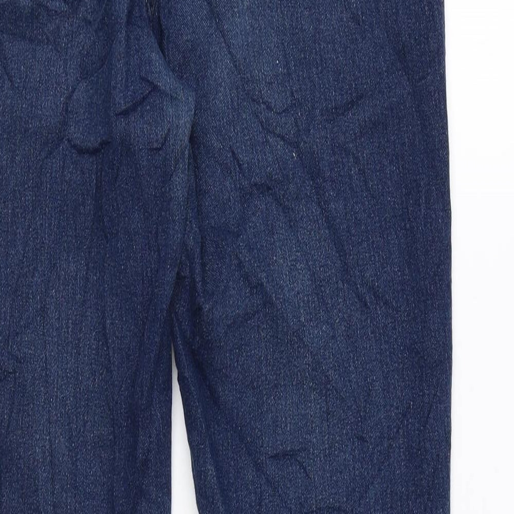 H&M Womens Blue Cotton Skinny Jeans Size 27 in L28 in Regular Zip