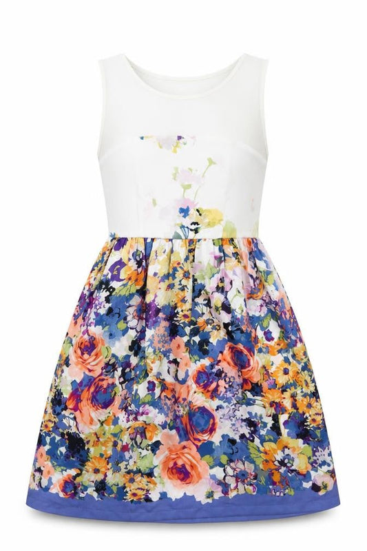 Zara Womens Blue Floral Polyester Fit & Flare Size XS Boat Neck Zip