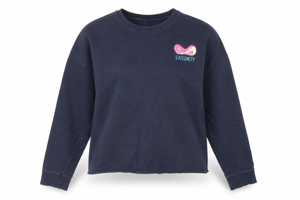 Sugar Dust Womens Blue Cotton Pullover Sweatshirt Size M Pullover