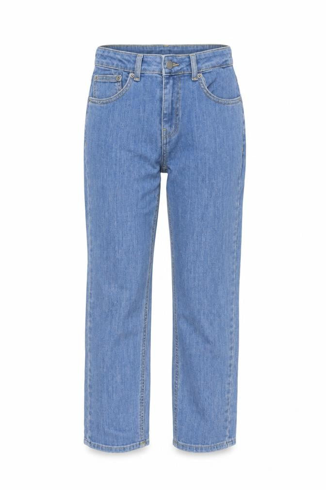 Dr. Denim Womens Blue Cotton Straight Jeans Size 26 in L26 in Regular Button