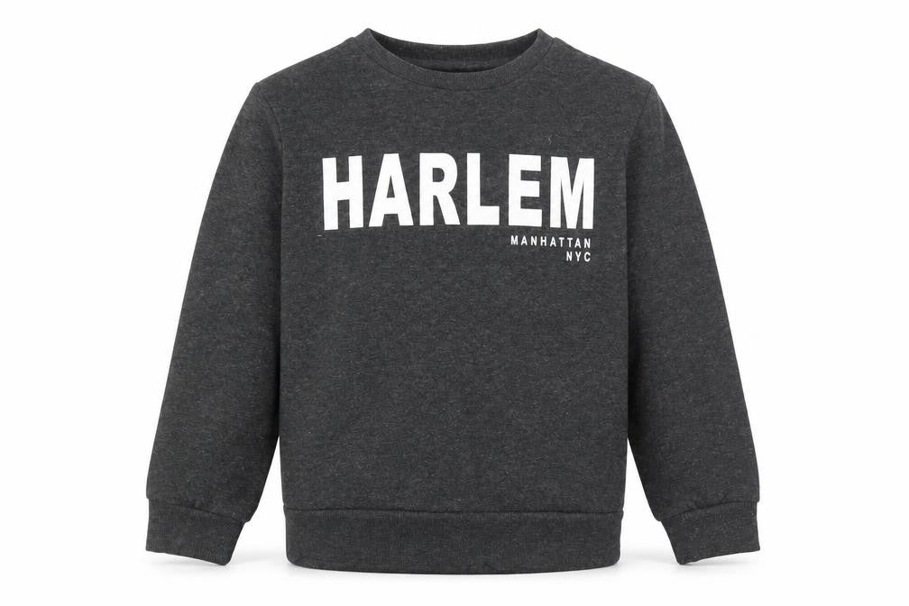 Primark Boys Grey Cotton Pullover Sweatshirt Size 9-10 Years Pullover - Harlem
