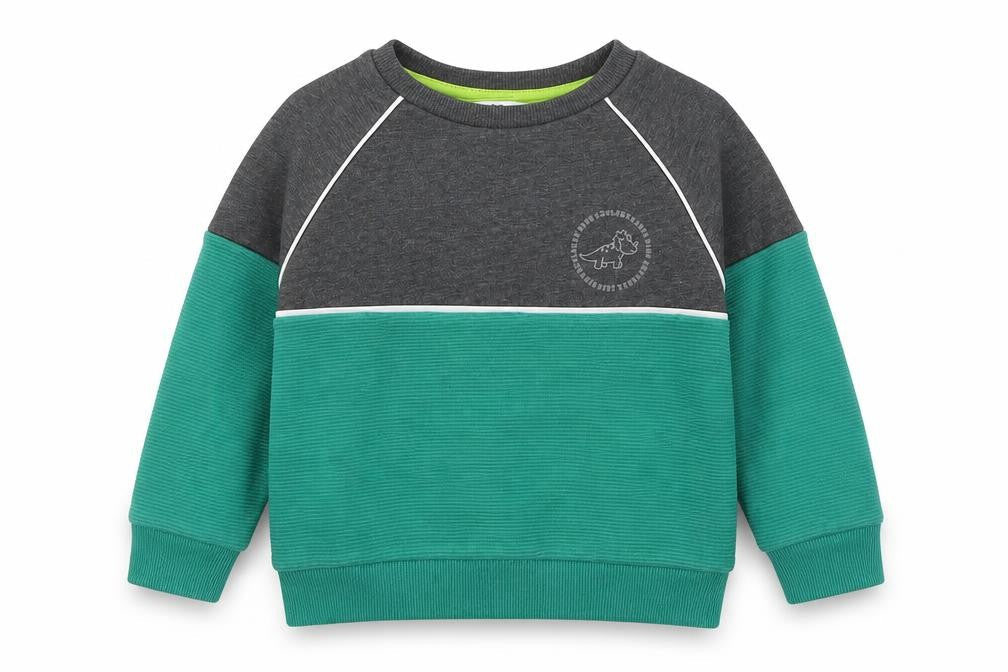 Very Boys Green Colourblock Cotton Pullover Sweatshirt Size 2-3 Years Pullover - Dinosaur
