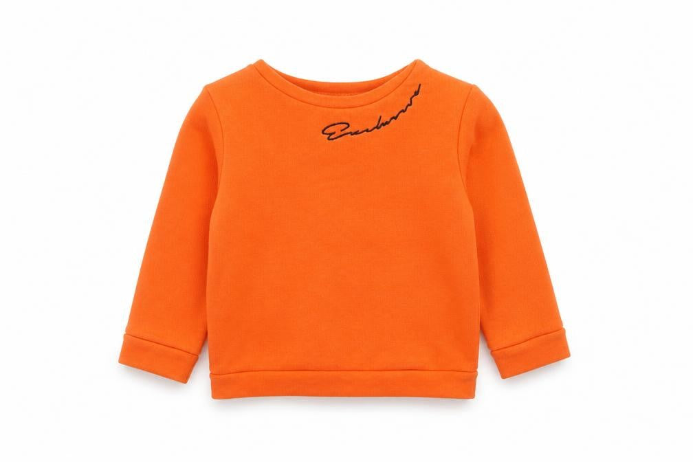 River Island Boys Orange Cotton Pullover Sweatshirt Size 2-3 Years Pullover