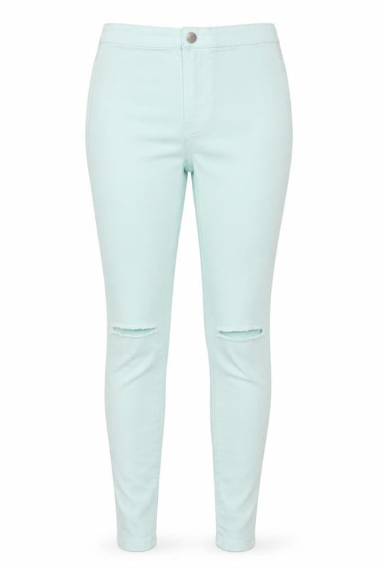 Denim & Co. Womens Blue Cotton Skinny Jeans Size 8 Regular Zip
