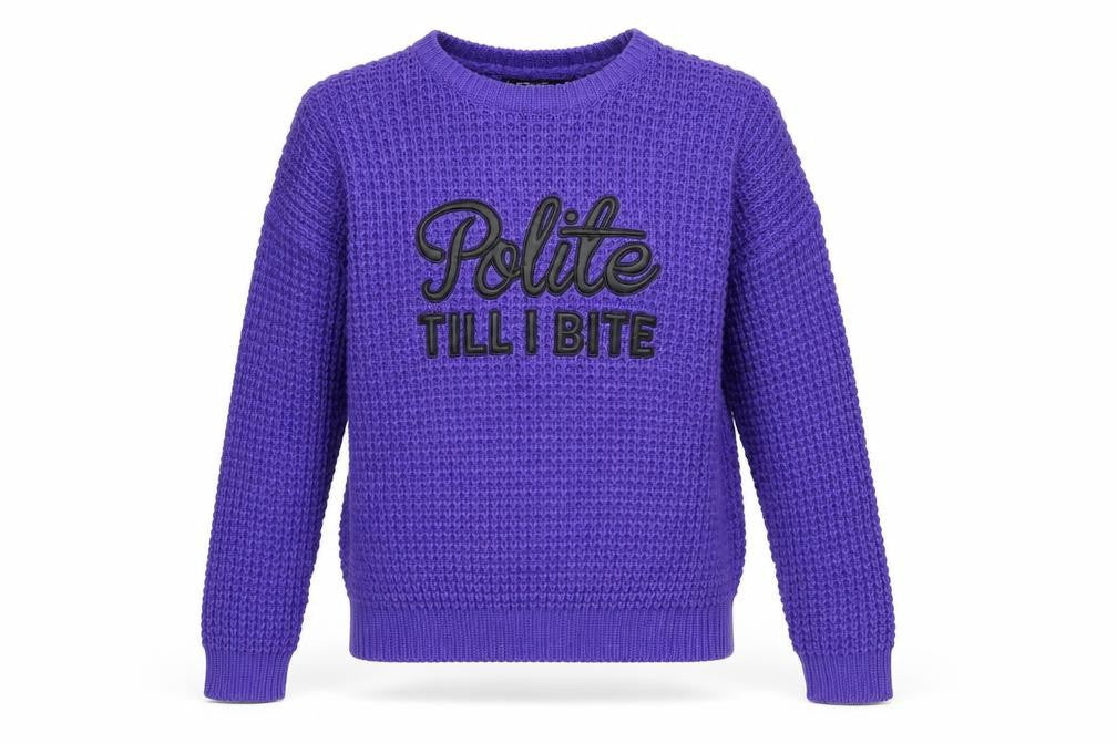FB Sister Womens Purple Round Neck Acrylic Pullover Jumper Size XS - Polite Till I Bite