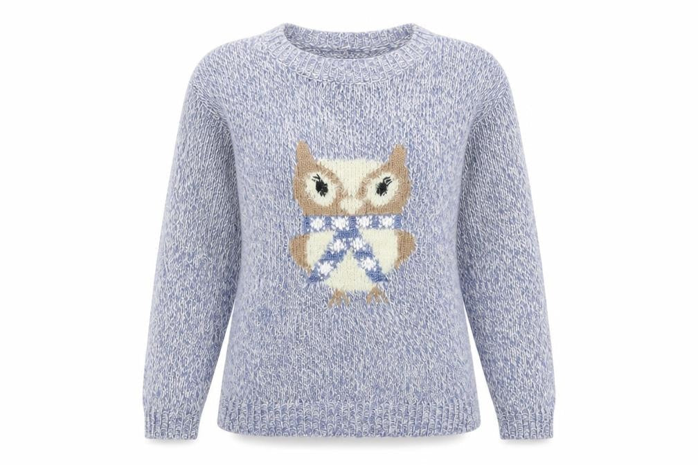 Bonmarché Womens Blue Round Neck Acrylic Pullover Jumper Size S - Owl Pattern