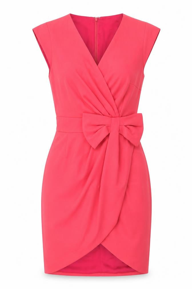 Erin Fetherston Womens Pink Polyester A-Line Size 8 V-Neck Zip