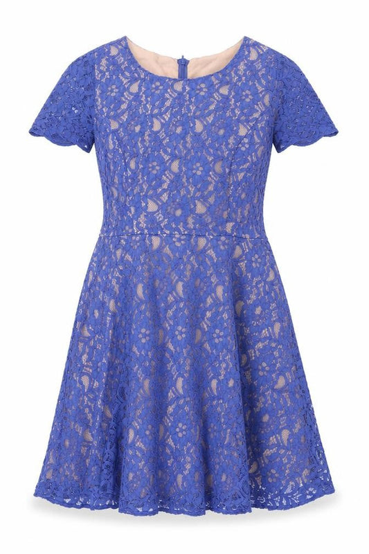 Oasis Womens Purple Polyester Fit & Flare Size 14 Boat Neck Zip