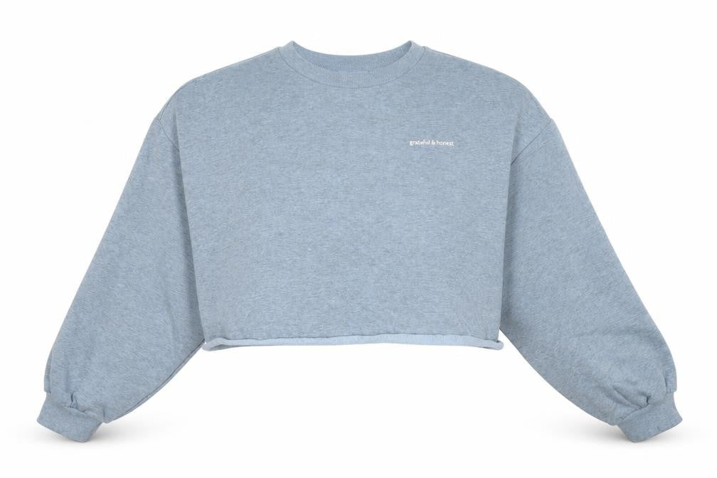 H&M Womens Blue Cotton Pullover Sweatshirt Size M - Grateful & Honest, Cropped