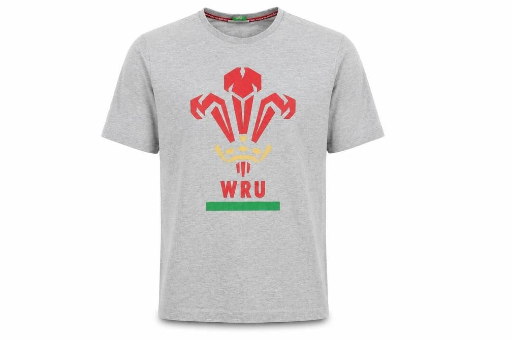 Wales Rugby Boys Grey 100% Cotton Basic T-Shirt Size S Round Neck Pullover