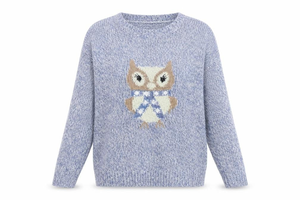 Bonmarché Womens Blue Round Neck Acrylic Pullover Jumper Size S - Owl