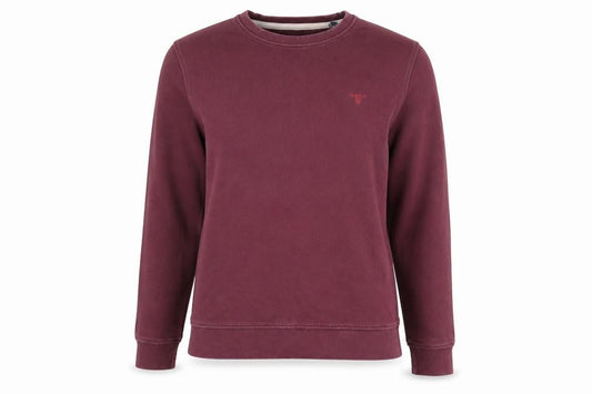 Front view of GANT women’s purple cotton pullover sweatshirt, size S, pullover